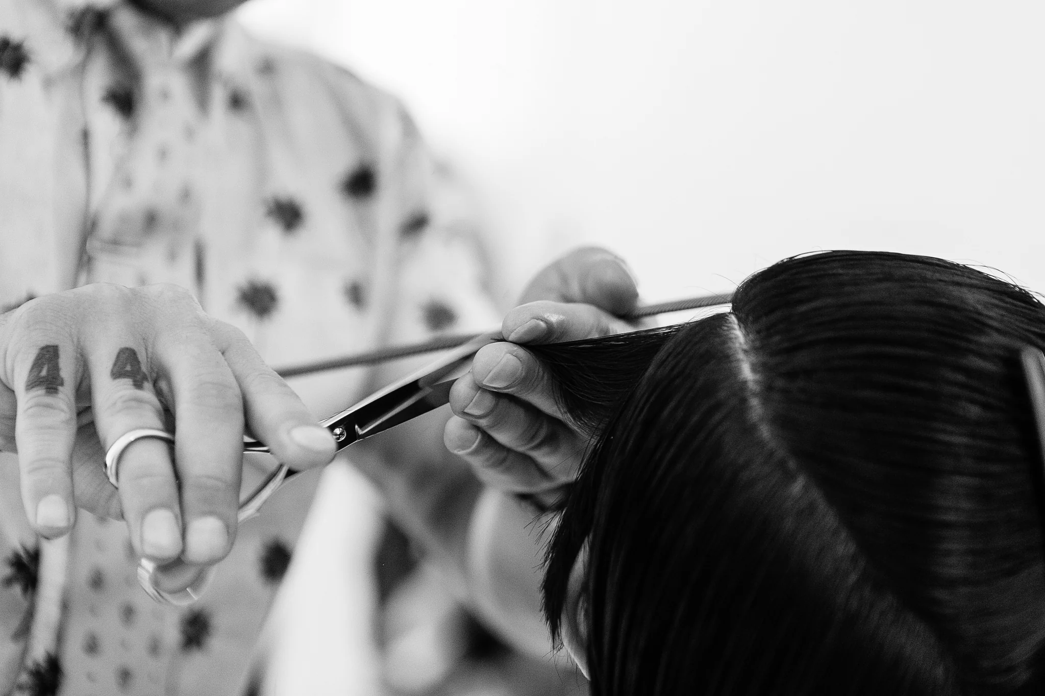 Medema Studios – cut